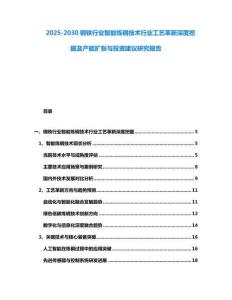 2025-2030钢铁行业智能炼钢技术行业工艺革新深度挖掘及产能扩张与投资建议研究报告
