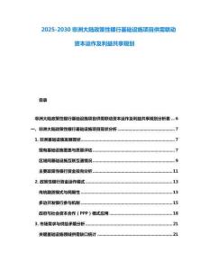 2025-2030非洲大陸政策性銀行基礎設施項目供需聯(lián)動資本運作及利益共享規(guī)劃