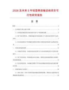 2026及未來5年輕型懸掛輸送線項目可行性研究報告
