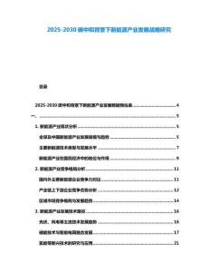2025-2030碳中和背景下新能源产业发展战略研究