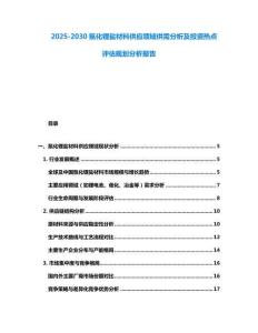 2025-2030氛化锂盐材料供应领域供需分析及投资热点评估规划分析报告