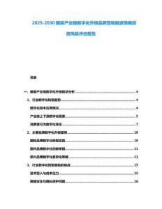 2025-2030服装产业链数字化升级品牌营销融资策略投资风险评估报告