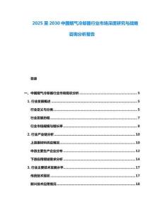 2025至2030中國煙氣冷卻器行業市場深度研究與戰略咨詢分析報告