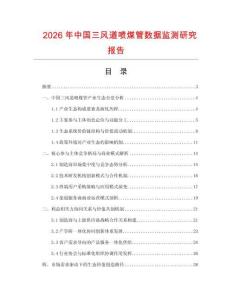 2026年中國三風道噴煤管數據監測研究報告