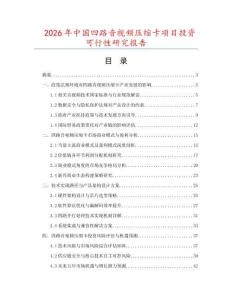 2026年中國四路音視頻壓縮卡項(xiàng)目投資可行性研究報(bào)告