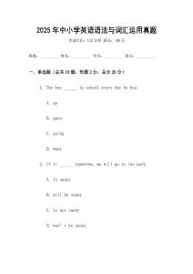 2025年中小學英語語法與詞匯運用真題