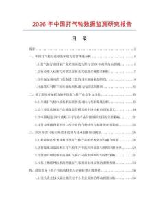 2026年中國打氣輪數(shù)據(jù)監(jiān)測研究報(bào)告