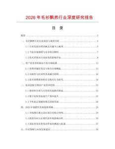 2026年毛衫飄然行業(yè)深度研究報(bào)告