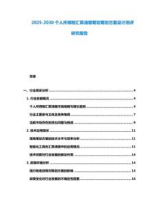 2025-2030個人所得稅匯算清繳籌劃籌劃方案設計測評研究報告