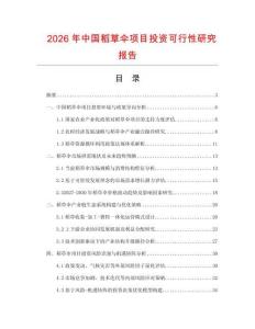 2026年中國稻草傘項(xiàng)目投資可行性研究報(bào)告