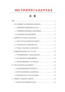 2026年橋梁噴鋅行業深度研究報告