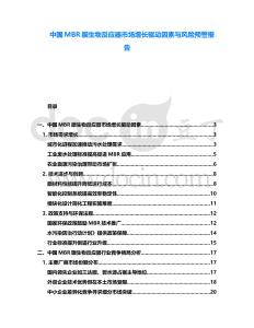 中國MBR膜生物反應(yīng)器市場增長驅(qū)動因素與風(fēng)險預(yù)警報告