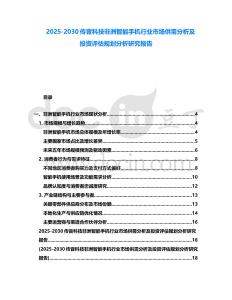2025-2030傳音科技非洲智能手機行業市場供需分析及投資評估規劃分析研究報告