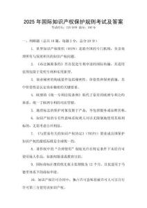 2025年國際知識產(chǎn)權(quán)保護(hù)規(guī)則考試及答案
