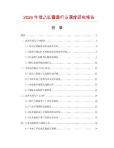 2026年琥乙紅霉毒行業深度研究報告