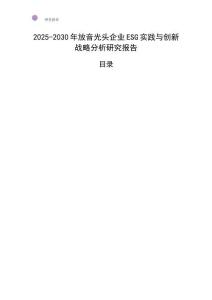 2025-2030年放音光頭企業ESG實踐與創新戰略分析研究報告