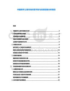 中國青年公寓市場供需平衡與投資回報分析報告