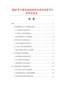 2026年中國有柄銅絲杯掃項目投資可行性研究報告