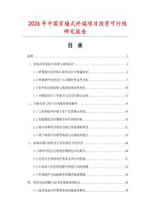 2026年中國穿墻式終端項目投資可行性研究報告