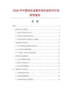 2026年中國鋅合金鞋花項目投資可行性研究報告