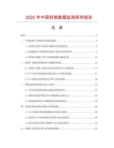 2025年中國(guó)軟鎖數(shù)據(jù)監(jiān)測(cè)研究報(bào)告