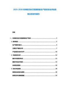 2025-2030非洲航空自衛(wèi)武器裝備生產(chǎn)現(xiàn)狀安全評估政策分析研究著作