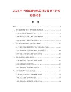 2026年中國裁縫鉛筆芯項目投資可行性研究報告
