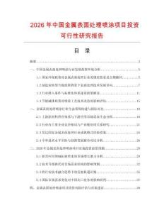 2026年中國(guó)金屬表面處理噴涂項(xiàng)目投資可行性研究報(bào)告