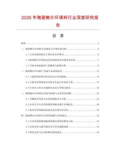 2026年陶瓷鮑爾環(huán)填料行業(yè)深度研究報(bào)告