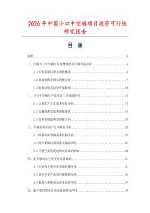 2026年中國小口中空桶項目投資可行性研究報告