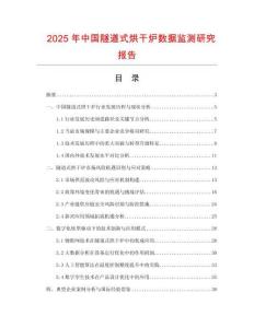2025年中國隧道式烘干爐數(shù)據(jù)監(jiān)測研究報告