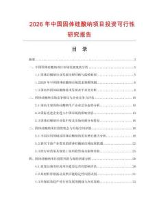 2026年中國固體硅酸納項目投資可行性研究報告