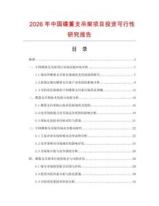 2026年中國碟簧支吊架項目投資可行性研究報告