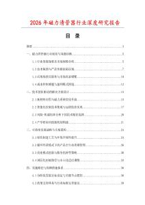 2026年磁力清管器行業深度研究報告