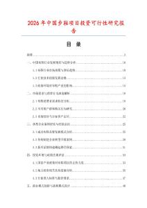 2026年中國(guó)步鞋項(xiàng)目投資可行性研究報(bào)告