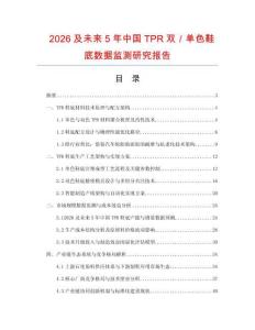 2026及未來5年中國TPR雙／單色鞋底數(shù)據(jù)監(jiān)測研究報告