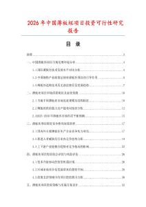 2026年中國(guó)薄板坯項(xiàng)目投資可行性研究報(bào)告