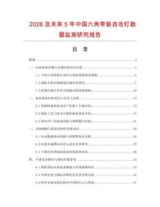 2026及未來5年中國六角帶墊自攻釘數(shù)據(jù)監(jiān)測(cè)研究報(bào)告