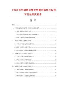 2026年中國鎖邊鎖底男童布鞋項目投資可行性研究報告