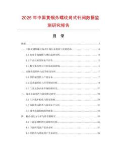 2025年中國黃銅外螺紋角式針閥數據監測研究報告