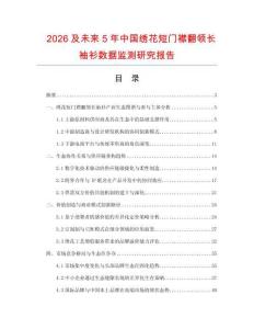 2026及未來5年中國繡花短門襟翻領長袖衫數據監測研究報告
