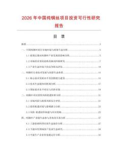 2026年中國純銅絲項目投資可行性研究報告