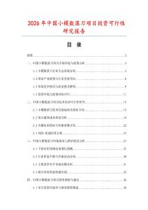 2026年中國小模數(shù)滾刀項目投資可行性研究報告