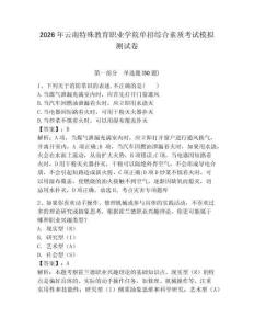 2026年云南特殊教育職業(yè)學(xué)院單招綜合素質(zhì)考試模擬測試卷必考題