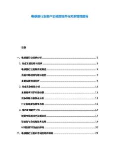 電感器行業(yè)客戶忠誠度培養(yǎng)與關(guān)系管理報告