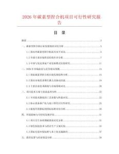 2026年碳素型捏合機項目可行性研究報告