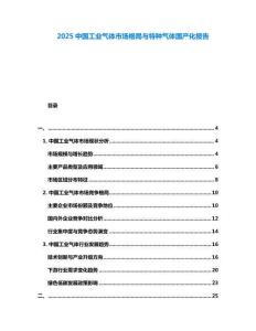 2025中國工業(yè)氣體市場格局與特種氣體國產(chǎn)化報(bào)告