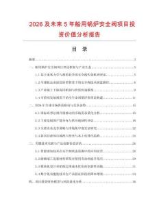 2026及未來5年船用鍋爐安全閥項(xiàng)目投資價(jià)值分析報(bào)告