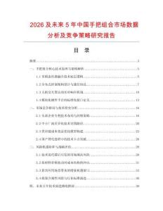 2026及未來(lái)5年中國(guó)手把組合市場(chǎng)數(shù)據(jù)分析及競(jìng)爭(zhēng)策略研究報(bào)告