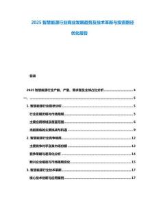 2025智慧能源行業(yè)商業(yè)發(fā)展趨勢及技術(shù)革新與投資路徑優(yōu)化報告